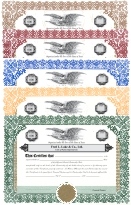 Set of 20 Custom Printed LIMITED PARTNERSHIP Certificates & Stub Sheets (FLL 103U Template)
